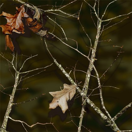 আঠালো ক্যামো ফ্যাব্রিক