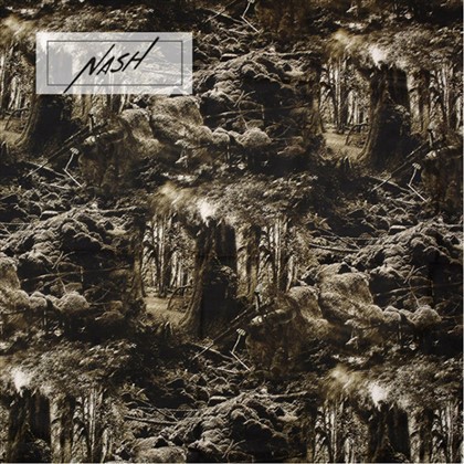 হাঁস শিকার ফ্ল্যানেল