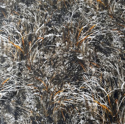 ওয়াটারউইড প্রিন্ট পোলার ফ্লিস ফ্যাব্রিক